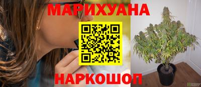 каннабис Нальчик