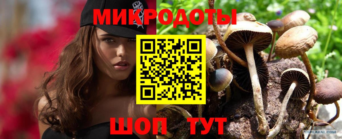 Галлюциногенные грибы Cubensis  Вход с VPN  Сыктывкар 