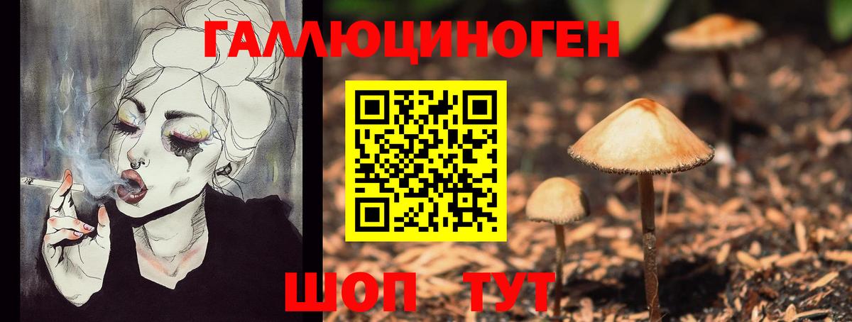 Псилоцибиновые грибы Magic Shrooms Сыктывкар
